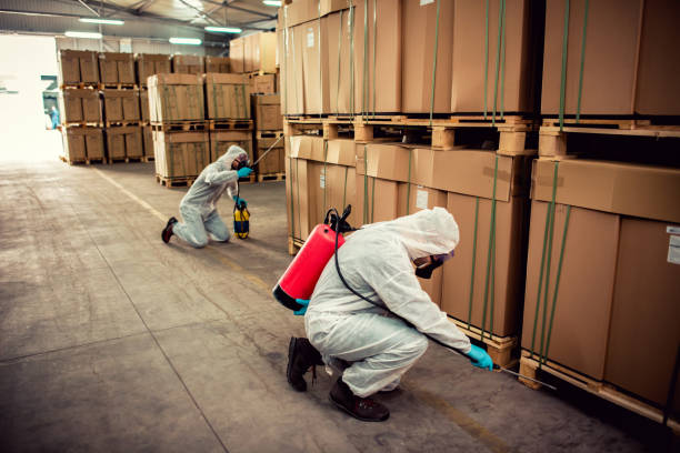 Best Best Pest Control Companies  in Parkersburg, WV