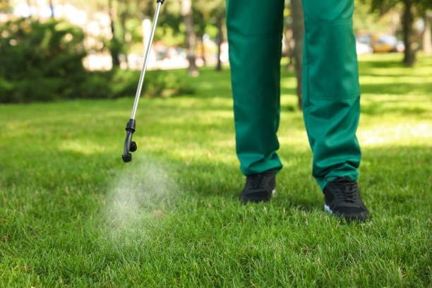 Best Cockroach Control Services  in Parkersburg, WV