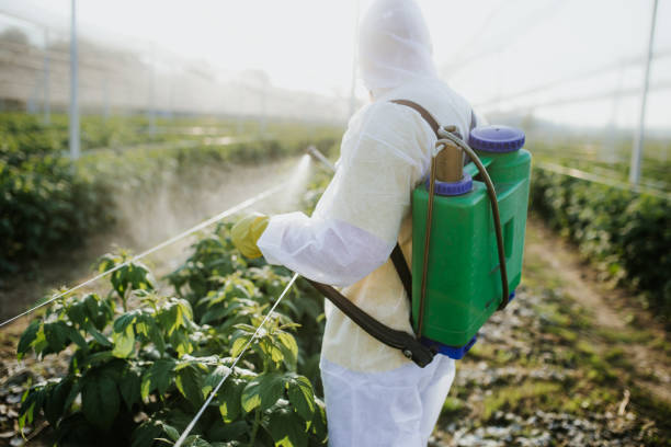 Insect Control in Parkersburg, WV